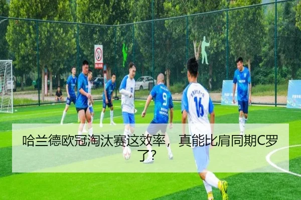 ha-lan-de-ou-guan-tao-tai-sai-zhe-xiao-lv-zhen-neng-bi-jian-tong-qi-luo-le-2-161.jpg