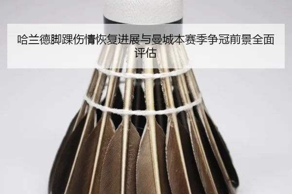 哈兰德脚踝伤情恢复进展与曼城本赛季争冠前景全面评估